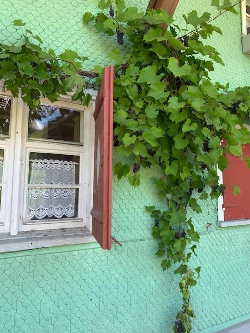 Apartment Allgaeu Weiler-Simmerberg