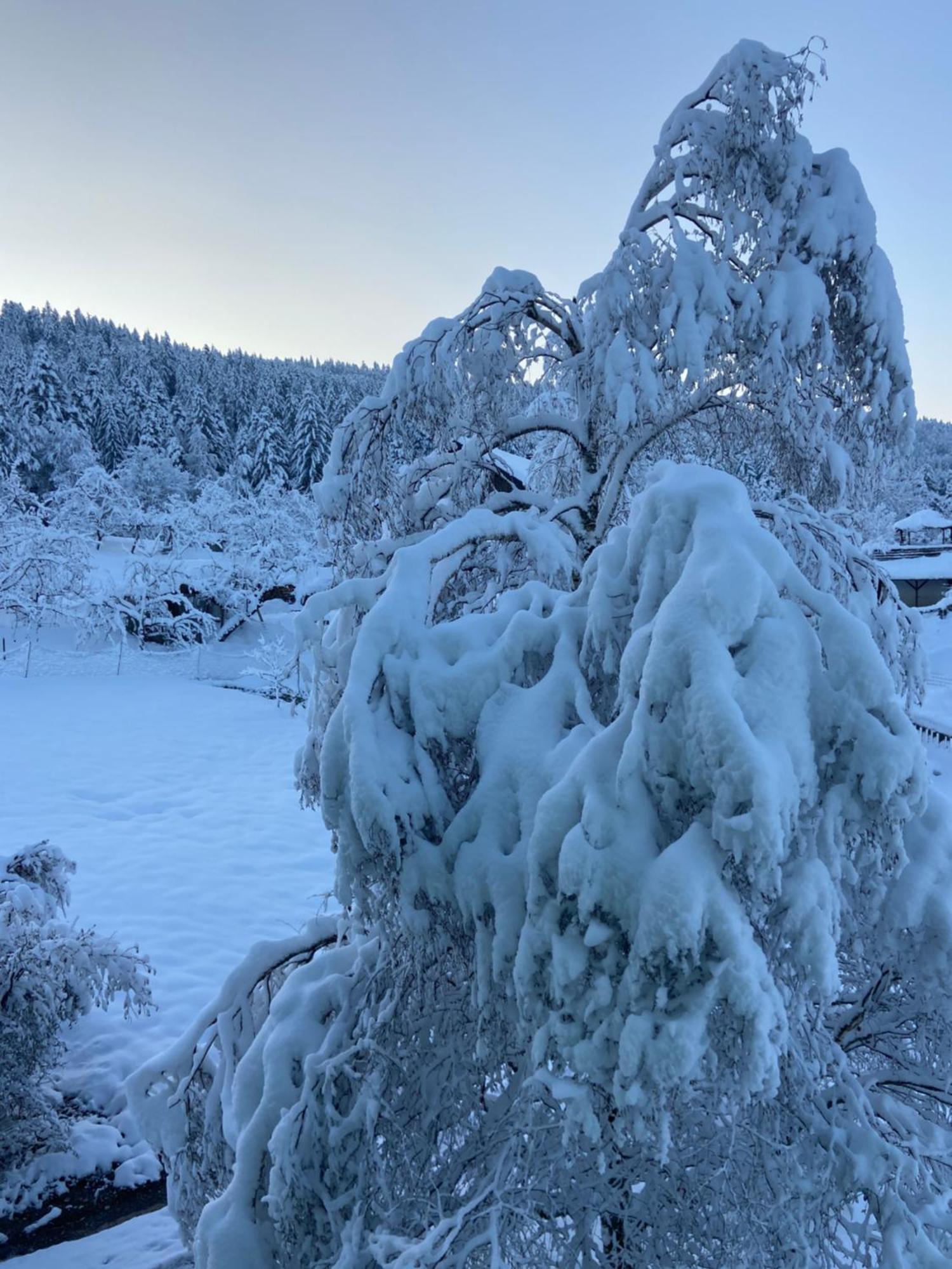 Lejlighed Allgaeu Weiler-Simmerberg