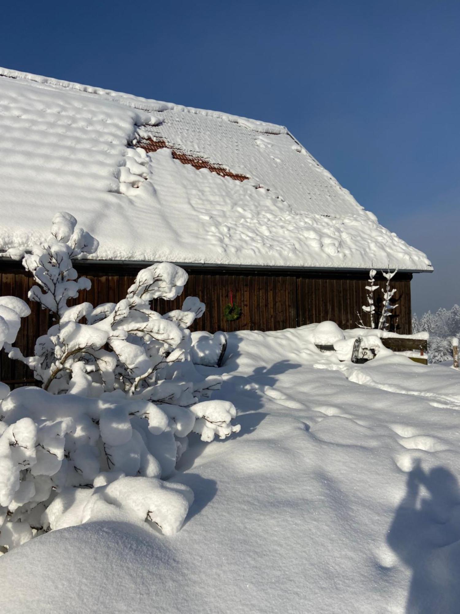 Apartment Allgaeu *