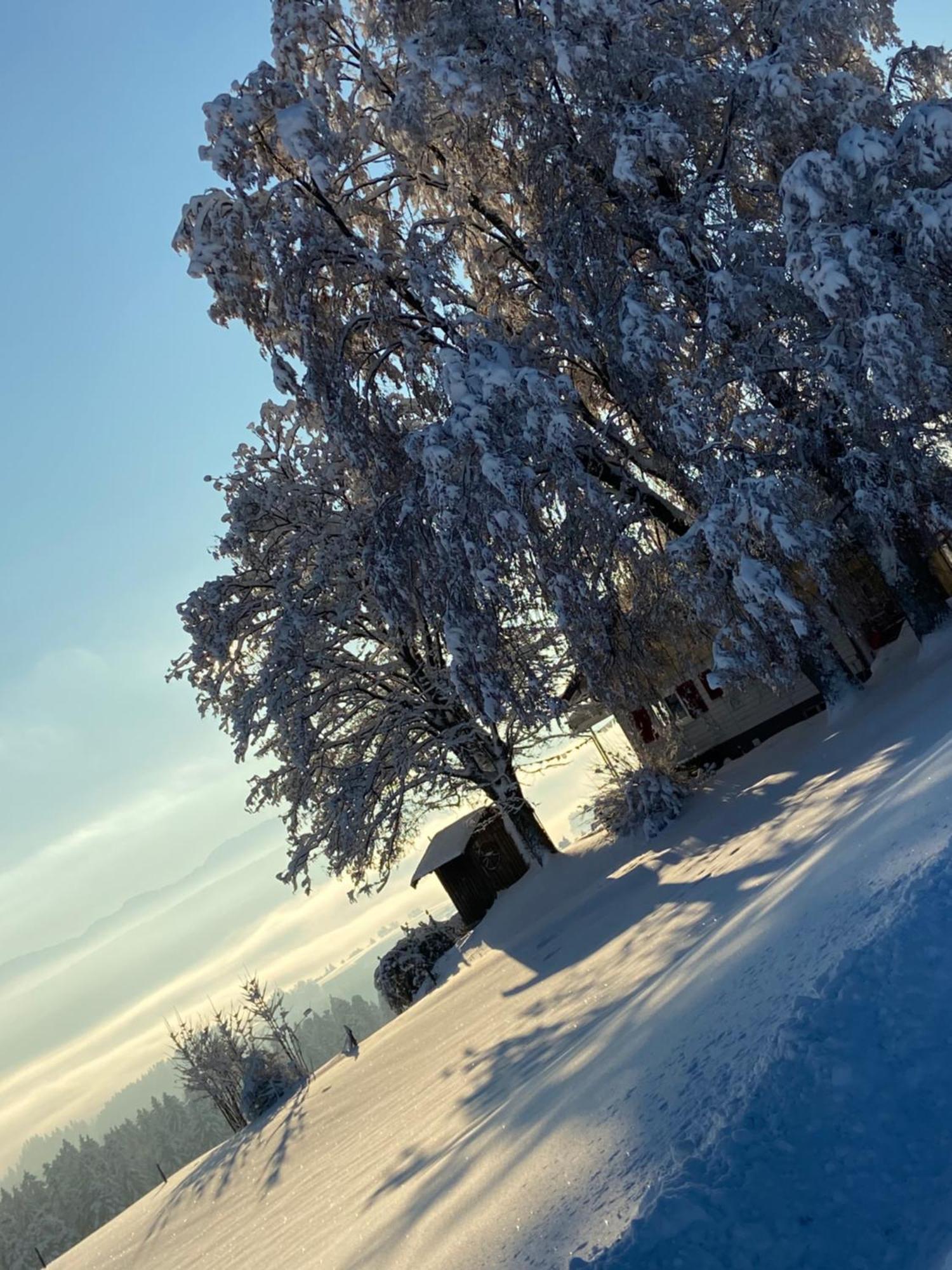 Allgaeu Lejlighed *